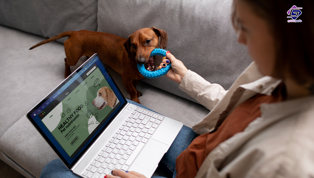 pet health care